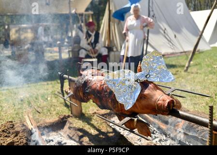 Des reconstitutions historiques en costumes d'ouside tente, un cochon entier rôti lentement à l'extérieur sur un feu de camp à Bloody Lake Rendezvous, Woodford, WI, USA Banque D'Images