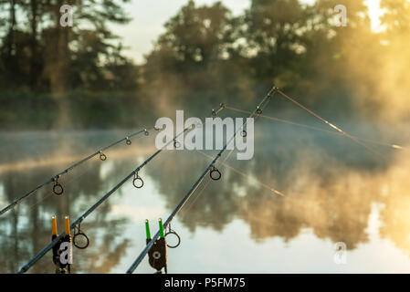 Cannes à pêche de la Carpe du lac Misty en Bulgarie. Banque D'Images