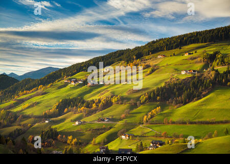 Belle vue sur le paysage de montagne idyllique avec green meadows dans les Dolomites dans la belle lumière du soir au coucher du soleil d'or, Val di Funes, Tyrol du Sud, Banque D'Images