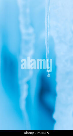 L'eau de fusion de glaçons dans la glace de mer, l'île de Ross, en Antarctique Banque D'Images