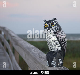 Statuettes de guardian hiboux sont placés sur les rails de trottoirs, terrasses et clôtures pour éloigner les troupeaux d'oiseaux sur l'île de Galveston, Texas Banque D'Images