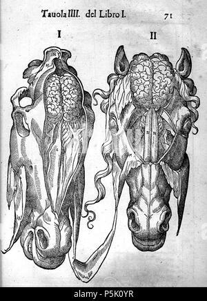 N/A. Ce fichier n'a pas de description, et peut être n'ont pas d'autres informations. Veuillez fournir une description explicite de ce fichier. . 1598. Carlo Ruini 275 Carlo Ruini Banque D'Images