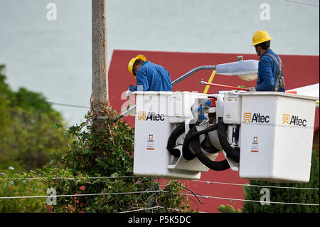 Les travailleurs de l'électricité de plus en plus claire vigne poteaux d'électricité et provoquer des courts-circuits et des pannes de courant - San Juan Cosala, Jalisco, Mexique Banque D'Images