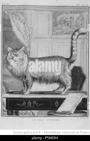 N/A. Français : Le chat d'Angora, illustration de Histoire naturelle générale et particulière avec la description du cabinet du roy, tome VI, Georges Louis Leclerc, comte de Buffon . 1756. Buvée (dessinateur) / Louis Le Grand (graveur) 102 Turc-Comte Angora de Buffon Banque D'Images