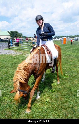 Championne de saut Banque D'Images