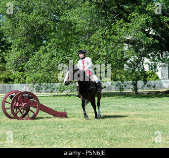 L'exercice de son cheval gentleman coloniale sur le vert derrière le palais de Colonial Williamsburg, Virginie. Il est rouge entourant un canon. Banque D'Images