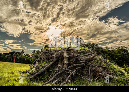 Image HDR Trash de forêt sous un ciel dramatique dans le Nord de New York Banque D'Images