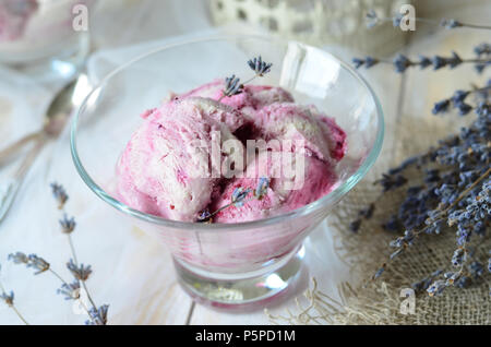 Lavande et fruits de cassis sur fond blanc Banque D'Images