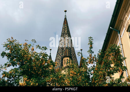 Clocher de la cathédrale luthérienne de Sibiu vu de derrière l'arbre à Sibiu, Roumanie. Banque D'Images