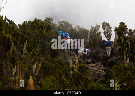 Les transporteurs à l'ascension du Kilimandjaro Banque D'Images