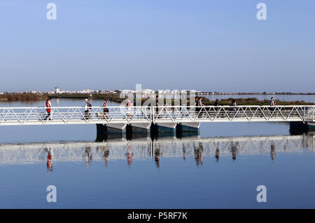 Promenade hivernale près de l'abbaye, passage de la passerelle au dessus du canal. Villeneuve-lès-Maguelone. F 34 Banque D'Images