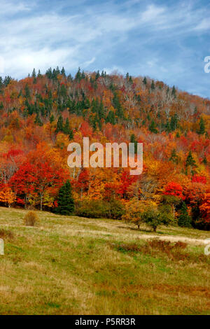 Rouge, orange et jaune de la ligne des arbres d'une colline, dans la belle campagne de la côte est du Canada Banque D'Images