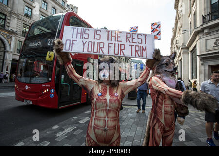 Le militant de la Bernache du Canada contre l'utilisation de la marque de vêtements de fourrure de coyote en habillement de protestation devant la direction générale de la Regent Street au centre de Londres, UK Banque D'Images