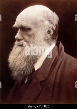 N/A. Charles Darwin. L'albumine, 251 x 210mm (9 7/8 x 8 1/4'). Septembre 1868. Julia Margaret Cameron (1815-1879) Noms alternatifs Julia Margaret Pattle, Julia Margaret Cameron Pattle ; Julia M. Cameron, Julia Margaret née Pattle ; Julia Margaret née Pattle Description photographe britannique Date de naissance/Décès 11 Juin 1815 26 janvier 1879 Lieu de naissance/décès Calcutta, Inde, Ceylan Kalutara contrôle d'autorité : Q230120 VIAF:61616074 ISNI:0000 0000 8140 6854 ULAN:500118804 RCAC:n:NLA50031545 35169417 325 WorldCat par Charles Darwin Julia Margaret Cameron 3 Banque D'Images