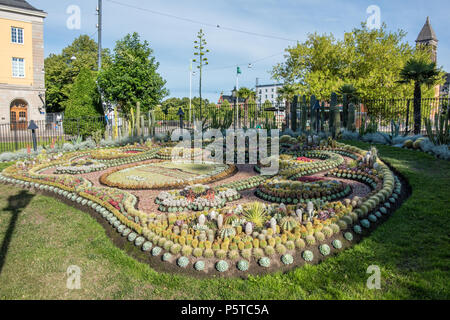 Le célèbre groupe de cactus à Carl Johan park Bolton. Le groupe est une tradition annuelle depuis 1926 et est composé de 25 000 plantes. Banque D'Images