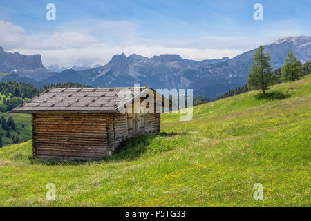 Ortisei, l'Alpe di Siusi, Dolomites, Trentino Alto Adige, Italie, Europe, Banque D'Images