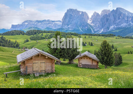 Ortisei, l'Alpe di Siusi, Dolomites, Trentino Alto Adige, Italie, Europe, Banque D'Images