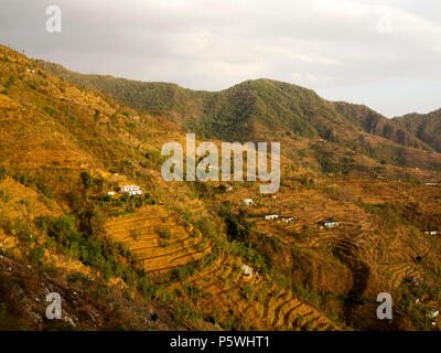 Les champs en terrasses à un village isolé sur le Nandhour Kumaon Hills, vallée, Uttarakhand, Inde Banque D'Images