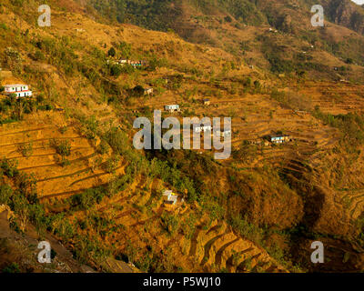 Les champs en terrasses à un village isolé sur le Nandhour Kumaon Hills, vallée, Uttarakhand, Inde Banque D'Images