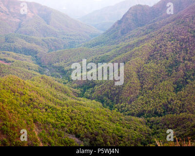 Jungle dense sur le Nandhour à distance près de la Vallée Village Kundal, collines du Kumaon, Uttarakhand, Inde Banque D'Images