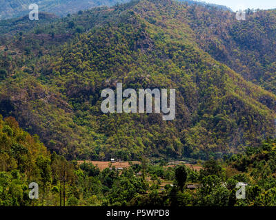 Jungle dense sur le Nandhour à distance près de la Vallée Village Kundal, collines du Kumaon, Uttarakhand, Inde Banque D'Images