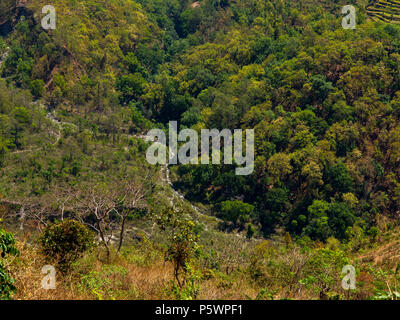 Jungle dense sur le Nandhour à distance près de la Vallée Village Kundal, collines du Kumaon, Uttarakhand, Inde Banque D'Images