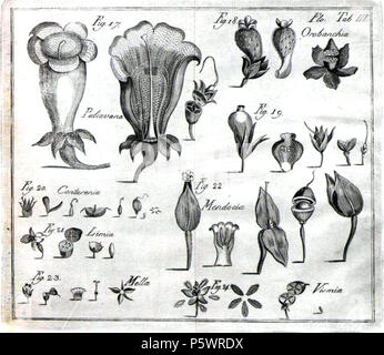 N/A. Anglais : Plaque à partir de 'iccionario technicos dos termos de historia natural das obras de Linnéo extrahidos ...  : Memoria sobre a utilidade dos jardins botanicos' (1788) - Dictionnaire de termes d'histoire naturelle... 1788. Domenico Vandelli (1739-1823) 464 Domenico Vandelli02 Banque D'Images