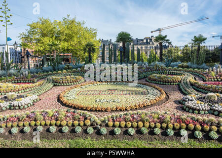 Le célèbre groupe de cactus à Carl Johan park Bolton. Le groupe est une tradition annuelle depuis 1926 et est composé de 25 000 plantes. Banque D'Images