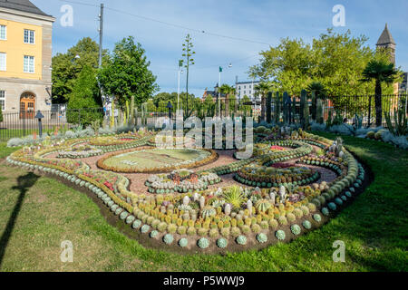 Le célèbre groupe de cactus à Carl Johan park Bolton. Le groupe est une tradition annuelle depuis 1926 et est composé de 25 000 plantes. Banque D'Images