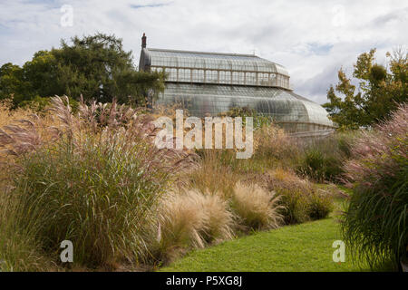 Le Palm House au Jardin Botanique National de l'Irlande, située à Glasnevin à Dublin Banque D'Images