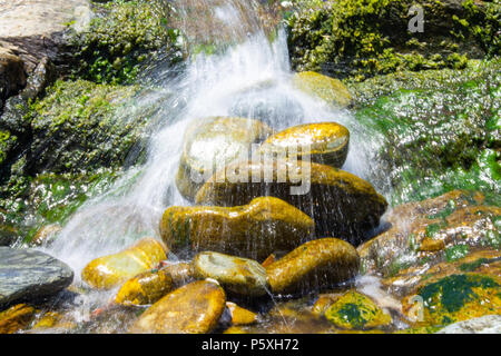 Tumbling cascade plus de rochers couverts d'algues dans un petit cours d'eau claire. Banque D'Images