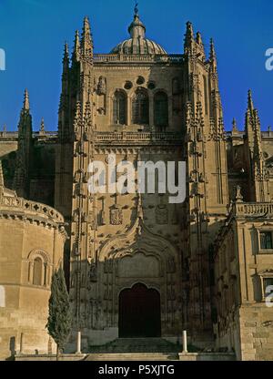 PUERTA NORTE DE LA CATEDRAL NUEVA. Emplacement : Catedral Nueva, Salamanca, Espagne. Banque D'Images