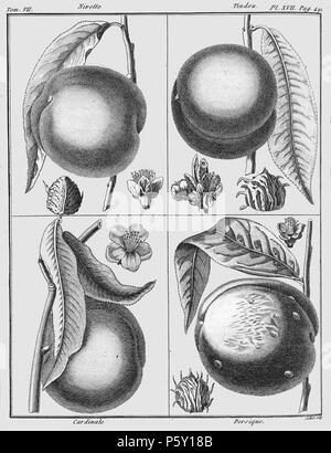 386 Rozier - Cours d'agriculture, tome 7, pl. 17 Banque D'Images