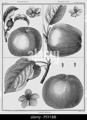 386 Rozier - Cours d'agriculture, tome 8, pl. 21 Banque D'Images