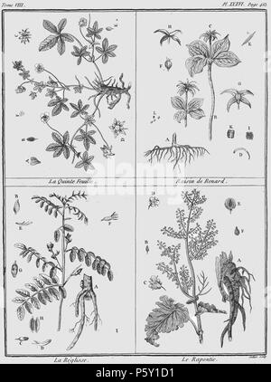 386 Rozier - Cours d'agriculture, tome 8, pl. 36 Banque D'Images