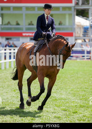 Édimbourg, Écosse - 21 Jun 2018 : une femme montant un cheval sidesaddle au cours de la Royal Highland Show Banque D'Images