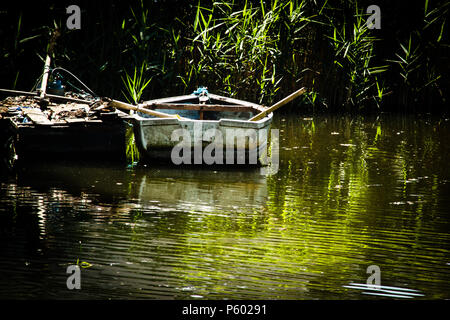 Bateau à rames amarrés sur un fleuve dans le soleil de l'été avec des roseaux dans l'arrière-plan Banque D'Images