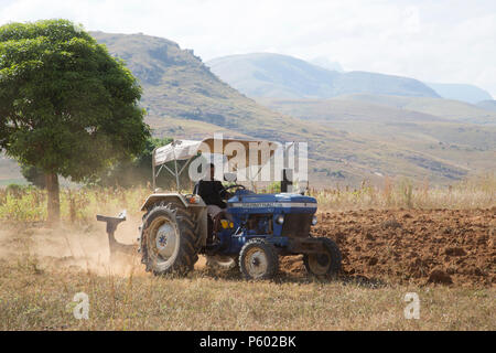 Location de tracteur, l'agriculture communautaire, le centre sud de Madagascar Banque D'Images