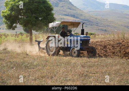 Location de tracteur, l'agriculture communautaire, le centre sud de Madagascar Banque D'Images