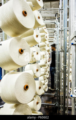 Les bobines de fils de coton dans une usine de textile dans le sud du Brésil. Banque D'Images