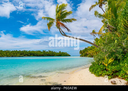 Un pied, l'île de Aitutaki, Îles Cook, Pacifique Sud Banque D'Images