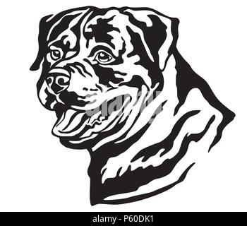 Portrait de décoration de chien Rottweiler, vector illustration isolé en couleur noir sur fond blanc. Droit pour la conception et de tatouage. Illustration de Vecteur