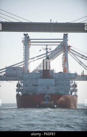 L'Hua Zen 16 efface le Sunshine Skyway Bridge, Saint Petersburg, Floride, Vendredi, Avril 1, 2016. D'équipage à bord les garde-côte d'Alligator une zone de sécurité autour de l'Zhen Hua 16 pour assurer la sécurité des navires et des installations du secteur riverain et de protéger les eaux navigables et les ressources des circonstances dangereuses. (U.S. Photo de la Garde côtière du Maître de 2e classe Kamil Zdankowski) Banque D'Images