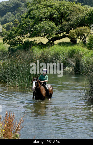 Comme la canicule se poursuit avec l'enregistrement de certains pays de Galles les températures les plus élevées au Royaume-Uni, les cavaliers Janice Hill (le port de casque) et Myfanwy Matthews, prendre chevaux Annie, montée par Janice, et M. Chips, monté par Myfanwy, pour un bain rafraîchissant dans la rivière Ogmore au Village de Ogmore, Vale of Glamorgan, Pays de Galles du Sud. Le mercure a atteint 25°C dans le salon le jeudi 28 juin 2018. Photo par Peter Bolter/ Alamy Live News Banque D'Images