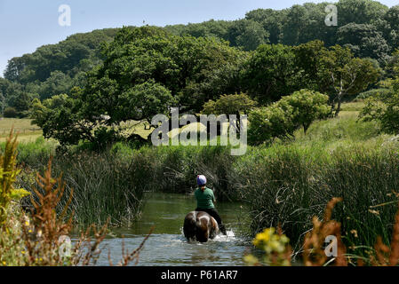 Comme la canicule se poursuit avec l'enregistrement de certains pays de Galles les températures les plus élevées au Royaume-Uni, les cavaliers Janice Hill (le port de casque) et Myfanwy Matthews, prendre chevaux Annie, montée par Janice, et M. Chips, monté par Myfanwy, pour un bain rafraîchissant dans la rivière Ogmore au Village de Ogmore, Vale of Glamorgan, Pays de Galles du Sud. Le mercure a atteint 25°C dans le salon le jeudi 28 juin 2018. Photo par Peter Bolter/ Alamy Live News Banque D'Images