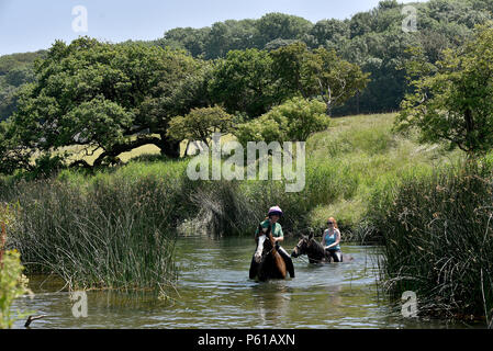 Comme la canicule se poursuit avec l'enregistrement de certains pays de Galles les températures les plus élevées au Royaume-Uni, les cavaliers Janice Hill (le port de casque) et Myfanwy Matthews, prendre chevaux Annie, montée par Janice, et M. Chips, monté par Myfanwy, pour un bain rafraîchissant dans la rivière Ogmore au Village de Ogmore, Vale of Glamorgan, Pays de Galles du Sud. Le mercure a atteint 25°C dans le salon le jeudi 28 juin 2018. Photo par Peter Bolter/ Alamy Live News Banque D'Images