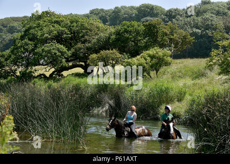 Comme la canicule se poursuit avec l'enregistrement de certains pays de Galles les températures les plus élevées au Royaume-Uni, les cavaliers Janice Hill (le port de casque) et Myfanwy Matthews, prendre chevaux Annie, montée par Janice, et M. Chips, monté par Myfanwy, pour un bain rafraîchissant dans la rivière Ogmore au Village de Ogmore, Vale of Glamorgan, Pays de Galles du Sud. Le mercure a atteint 25°C dans le salon le jeudi 28 juin 2018. Photo par Peter Bolter/ Alamy Live News Banque D'Images