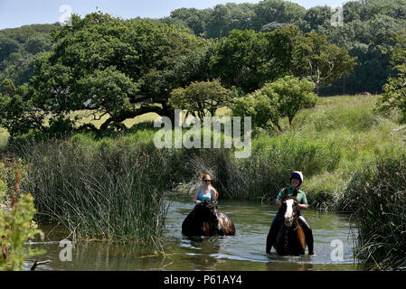 Comme la canicule se poursuit avec l'enregistrement de certains pays de Galles les températures les plus élevées au Royaume-Uni, les cavaliers Janice Hill (le port de casque) et Myfanwy Matthews, prendre chevaux Annie, montée par Janice, et M. Chips, monté par Myfanwy, pour un bain rafraîchissant dans la rivière Ogmore au Village de Ogmore, Vale of Glamorgan, Pays de Galles du Sud. Le mercure a atteint 25°C dans le salon le jeudi 28 juin 2018. Photo par Peter Bolter/ Alamy Live News Banque D'Images