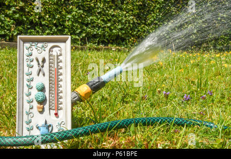 Pontypridd, Pays de Galles du Sud. 28 Jun, 2018. Des températures de la côte continue de monter. Toucher à 30C (86F) dans Pontypridd, Pays de Galles du Sud aujourd'hui (jeudi 28 juin) jardins laissant assoiffés de l'eau. Credit : Ceri Breeze/StockimoNews/Alamy Live News Banque D'Images