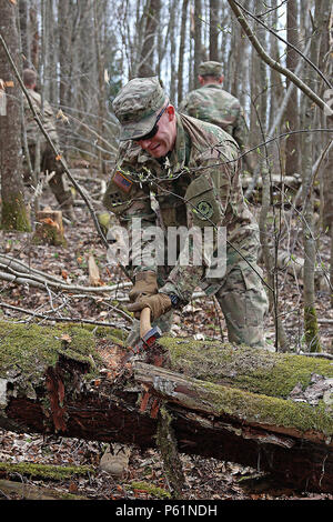 Le Sgt. Taylor Stone, un fantassin affectés au siège des troupes et de l'Administration centrale, 3e Escadron, 2e régiment de cavalerie coupe un arbre avec une hache alors que l'élimination d'un trail au cours d'un projet de sensibilisation, le 9 avril, à Daugavpils, Lettonie. Stone a passé son samedi aidant à créer une piste à un camp d'été des jeunes chrétiens utilisés par des centaines d'enfants de Lettonie, Estonie et Lituanie. (U.S. Photo de l'armée par le Sgt. Paige Behringer, 10e Appuyez sur Camp de siège)Ville natale : Corydon, Kentucky Banque D'Images